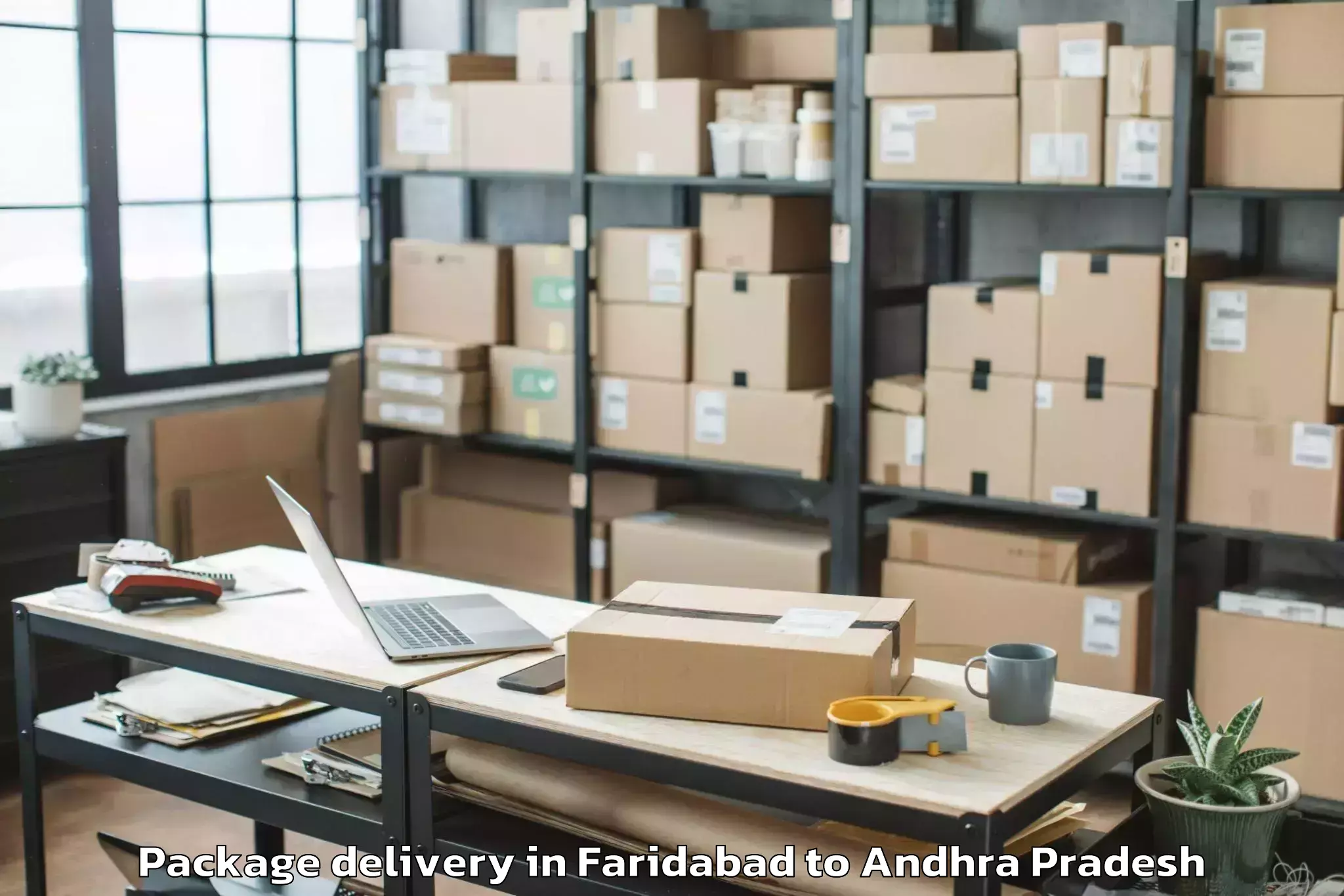 Top Faridabad to Kurabalakota Package Delivery Available